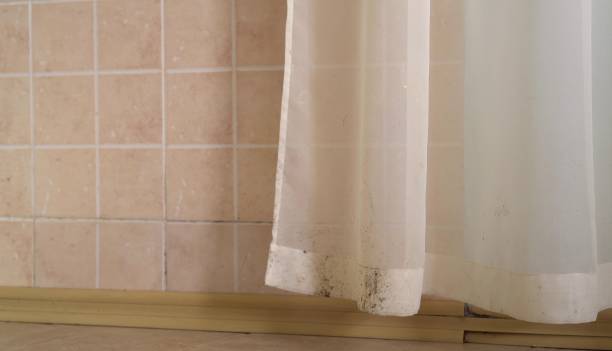 Best Water Damage & Mold Remediation  in Kathleen, FL