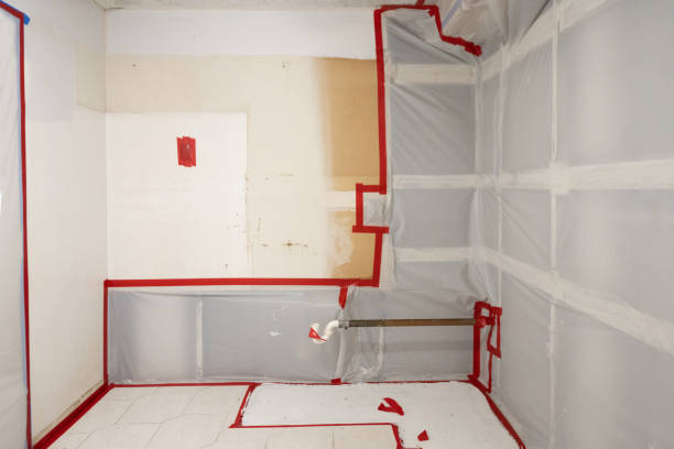 Best Comprehensive Air Testing for Mold Contaminants  in Kathleen, FL
