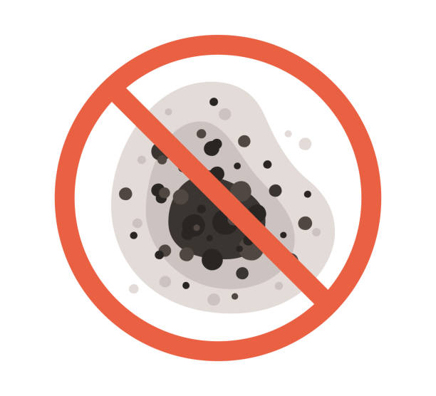 Best Forensic Mold Investigation  in Kathleen, FL