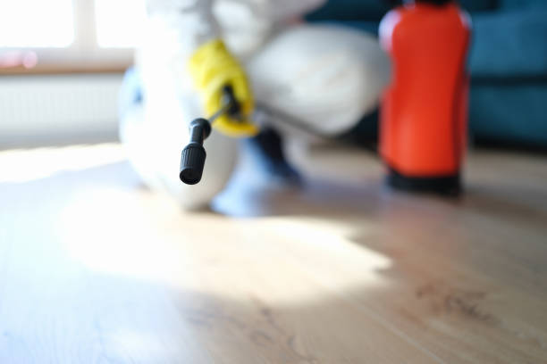 Best Indoor Air Quality Assessment  in Kathleen, FL