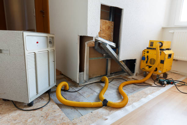Best Residential Mold Inspection & Testing  in Kathleen, FL