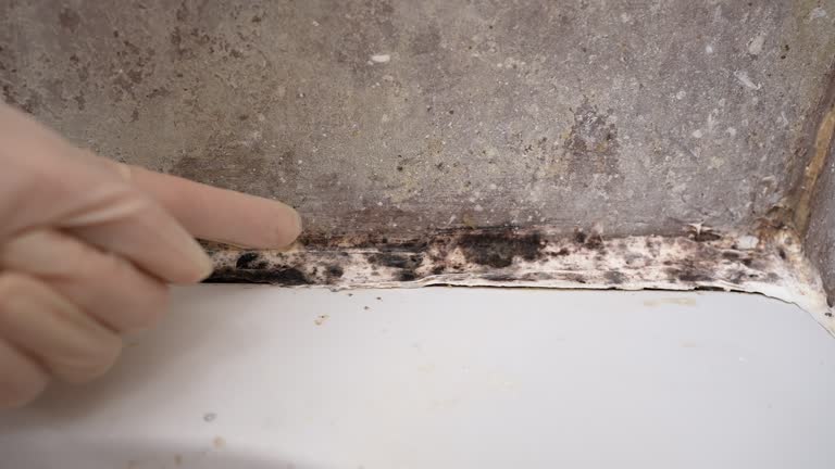 Best HVAC Mold Inspection and Cleaning  in Kathleen, FL